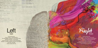 Qual É O Lado Dominante Do Teu Cérebro, O Criativo Ou O Lógico?!
