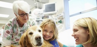 Cães auxiliam diagnóstico e terapia de crianças com transtornos psiquiátricos