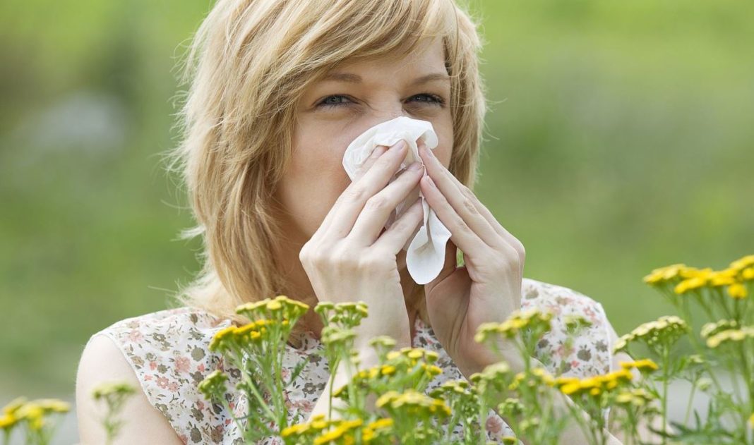 Cientistas e a epidemia de alergias no ocidente