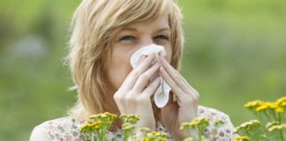 Cientistas e a epidemia de alergias no ocidente
