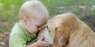 A lição do cachorro