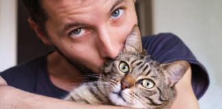 O que podemos aprender com os gatos?