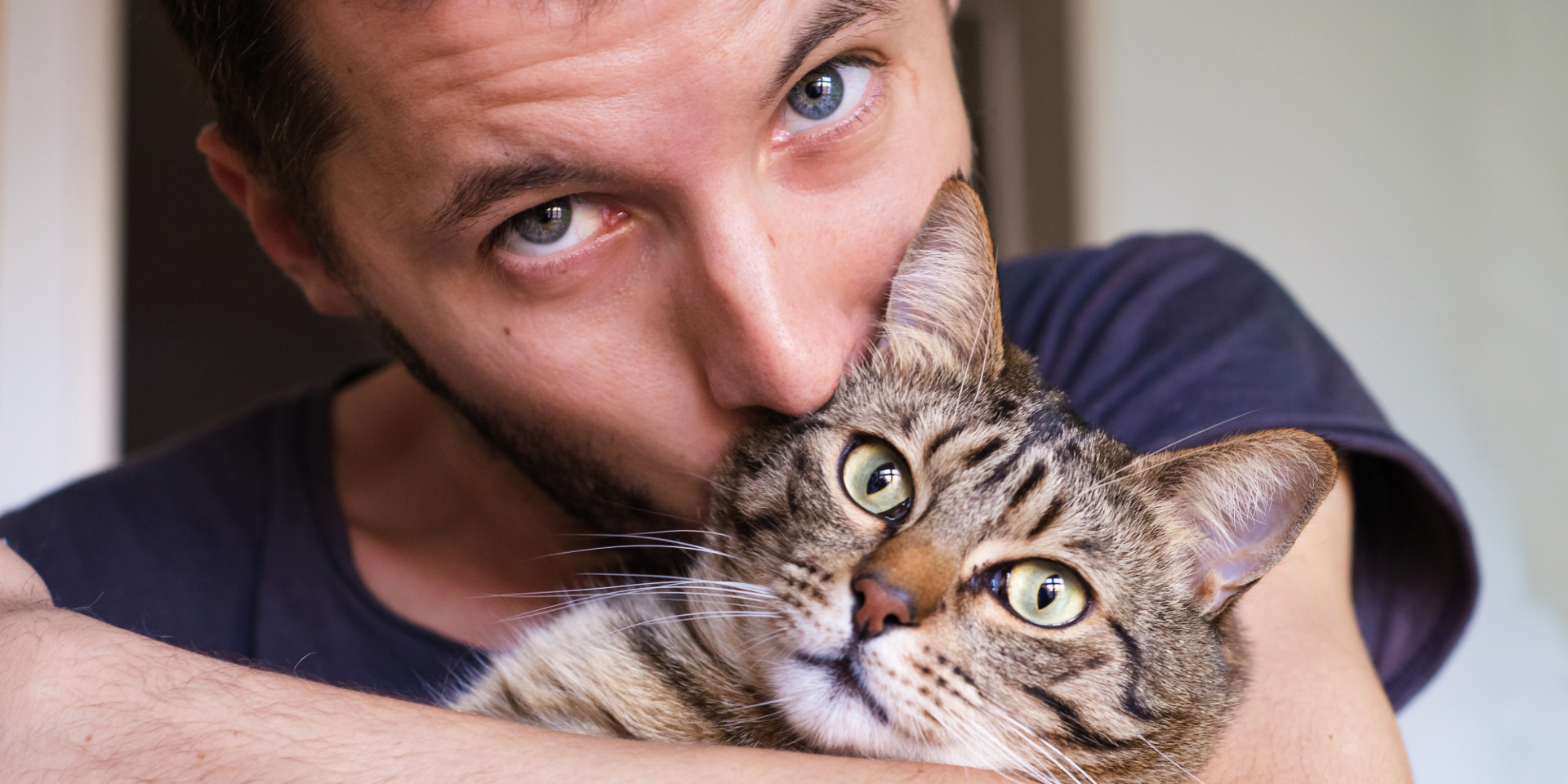 Estudo do Facebook sugere que fãs de gatos são mais tristes e solitários -  Olhar Digital