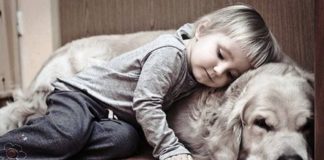 Crianças que crescem com cachorro de estimação são mais saudáveis