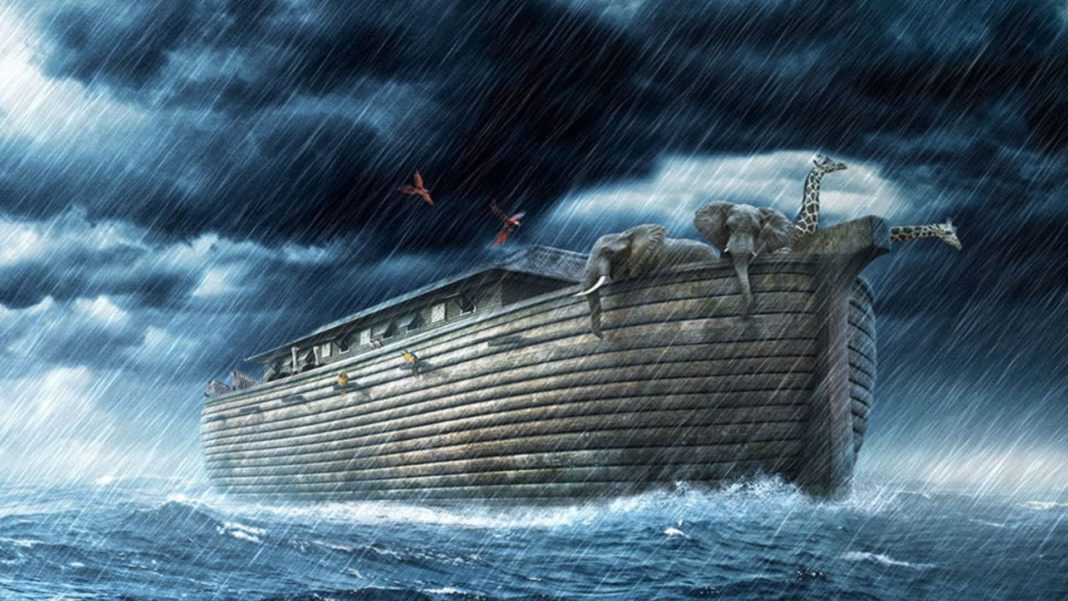 As 13 lições que aprendi com a Arca de Noé…