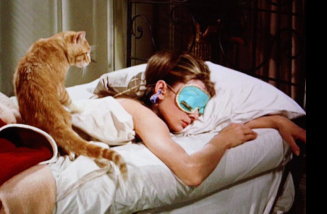 O TEMPO PASSADO COM GATOS NUNCA É PERDIDO