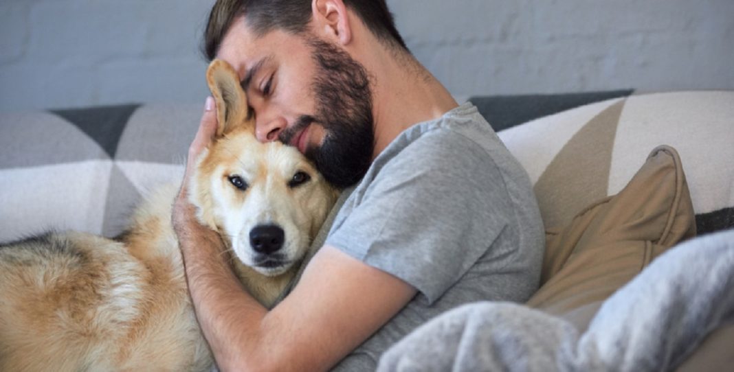 QUANDO TUDO DER ERRADO… ABRACE SEU CÃO