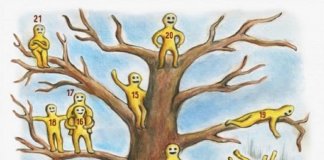 Teste: escolha uma pessoa da árvore e descubra seu estado emocional