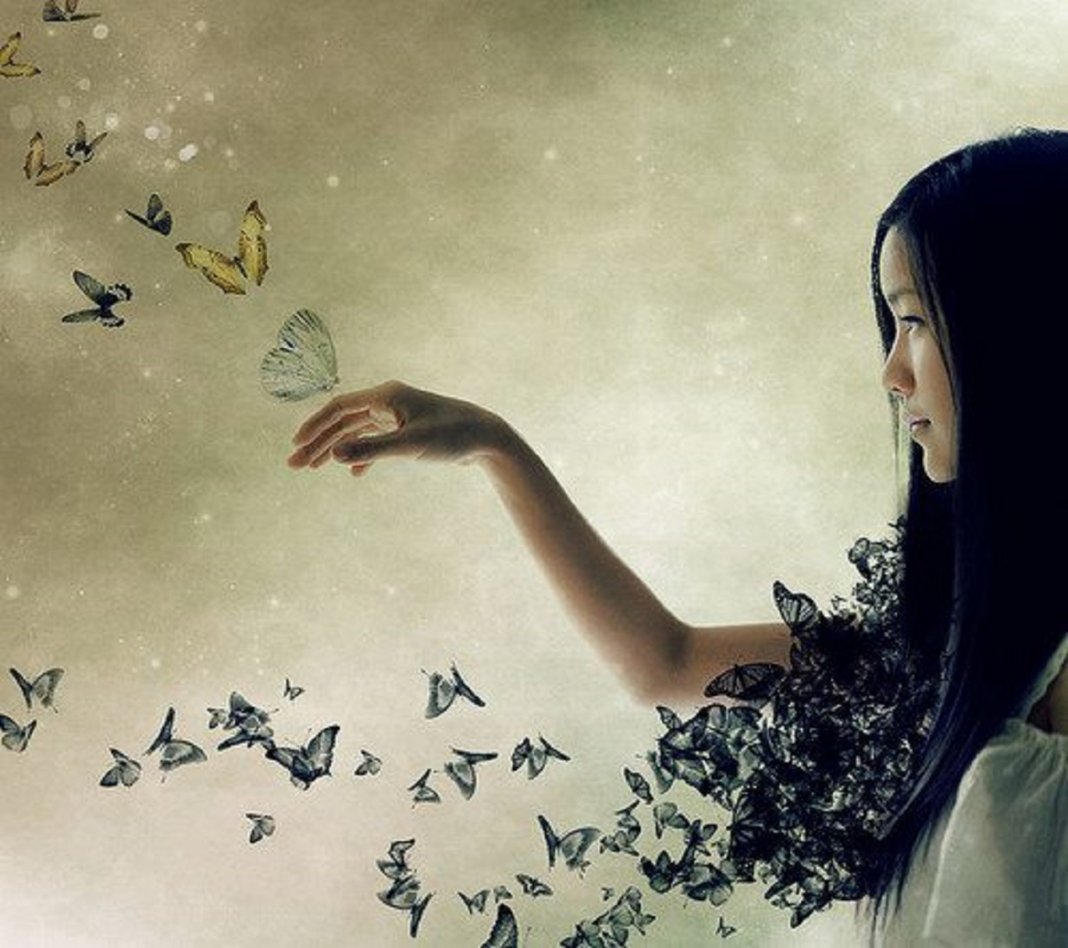 Não haverá borboletas se a vida não passar por longas e silenciosas metamorfoses