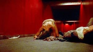 fasdapsicanalise.com.br - 10 Thrillers Psicol&oacute;gicos no Cinema