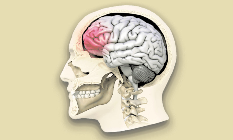 As sequelas do traumatismo craniano: como recuperar o cérebro lesionado