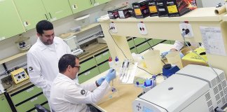Método pode facilitar a escolha de droga para depressão