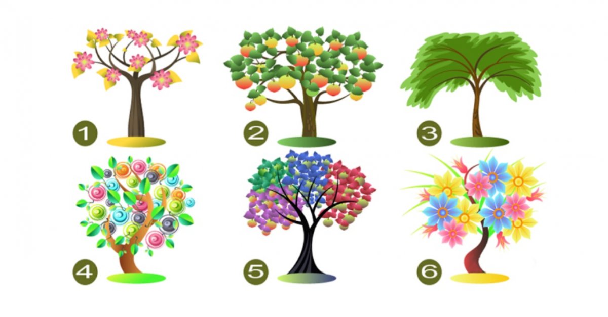 Escolha-Uma-Árvore-E-Revelaremos-Seus-Traços-De-Personalidade-Dominante