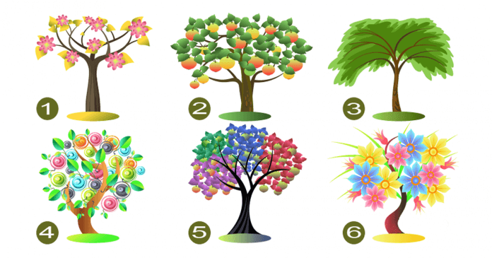 Escolha-Uma-Árvore-E-Revelaremos-Seus-Traços-De-Personalidade-Dominante