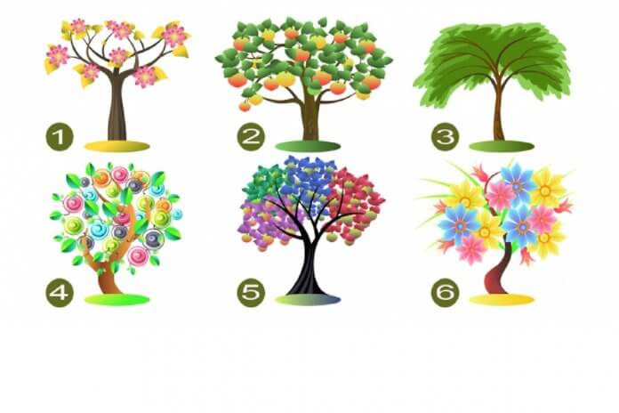 Escolha uma árvore e revelaremos seus traços de personalidade dominante