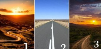 TESTE: Qual estrada você escolheria? Veja o que revela sobre sua personalidade