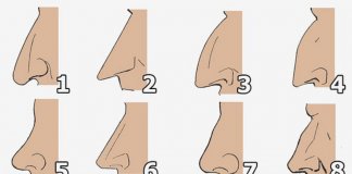 TESTE: O que o formato do seu nariz diz sobre você?