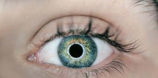TESTE: Você é mais intuitivo ou racional?