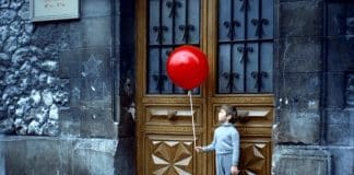 Estes 5 lindos curtas vão te fazer refletir sobre a vida