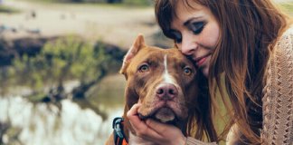 Amor entre cães e donos é o mesmo de pais e filhos, segundo pesquisa