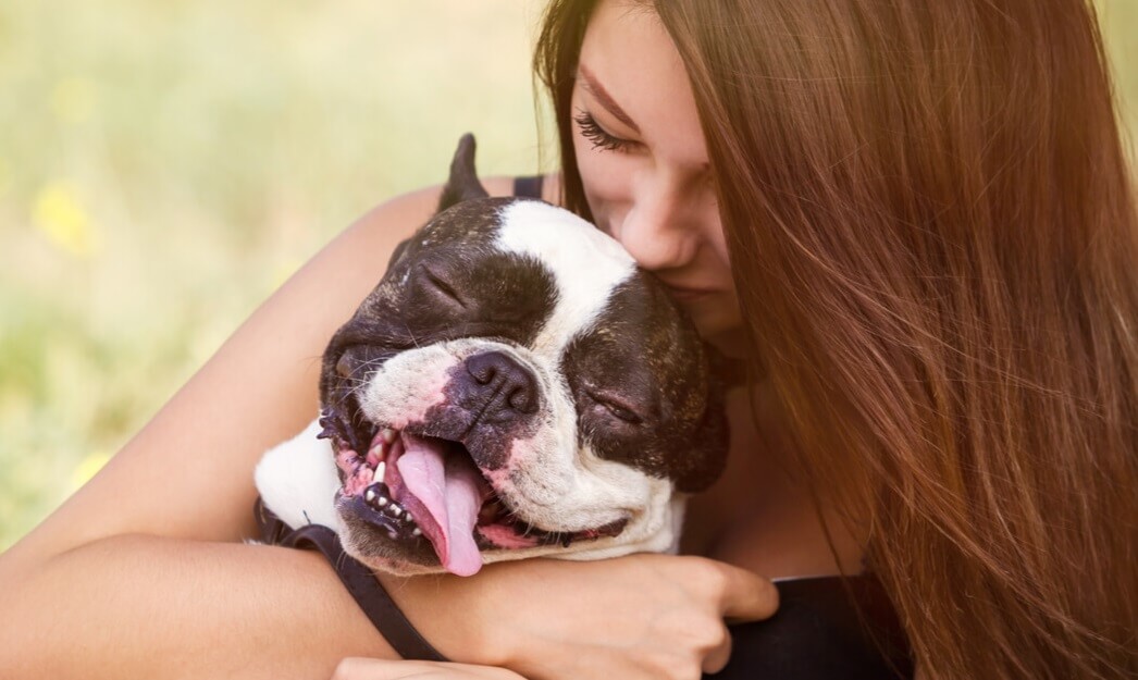 Estudo-revela-humanos-amam-mais-os-cachorros-do-que-as-pessoas