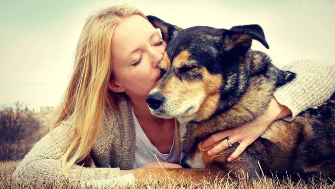 Estudo-revela-humanos-amam-mais-os-cachorros-do-que-as-pessoas2