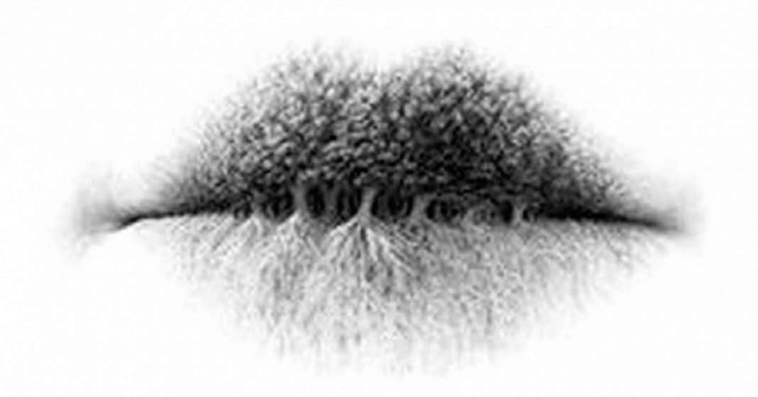 o-que-voce-ve-primeiro-na-imagem-a-resposta-revela-um-lado-oculto-da-sua-personalidade O que você vê primeiro na imagem? A resposta revela um lado oculto da sua personalidade