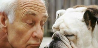 Razões para amar um animal com tanta intensidade