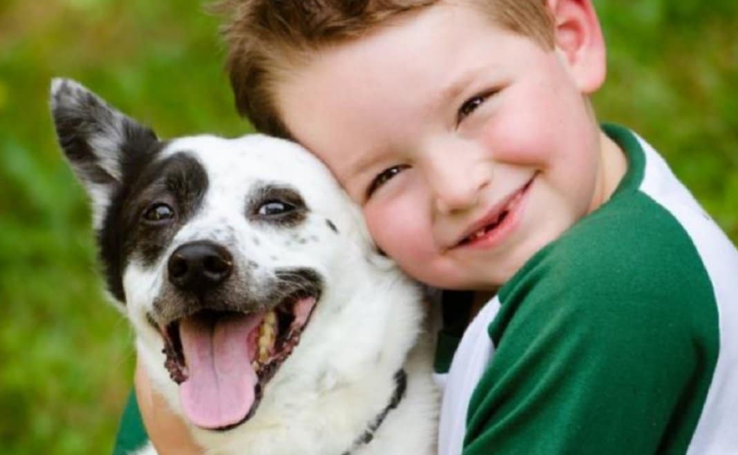 A importância de crescer com um animal de estimação