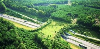 Alemanha cria ponte apenas para passagens de animais