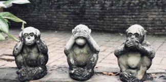 10 conselhos imperdíveis para aprender com as coisas que não saem como esperávamos