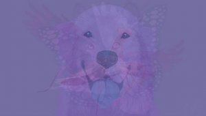 fasdapsicanalise.com.br - O animal que voc&ecirc; v&ecirc; primeiro nesta imagem revela a ess&ecirc;ncia de sua alma