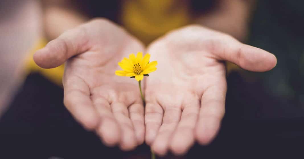 A minha religião é a paz. É a religação com tudo que me ensina a ser alguém melhor.
