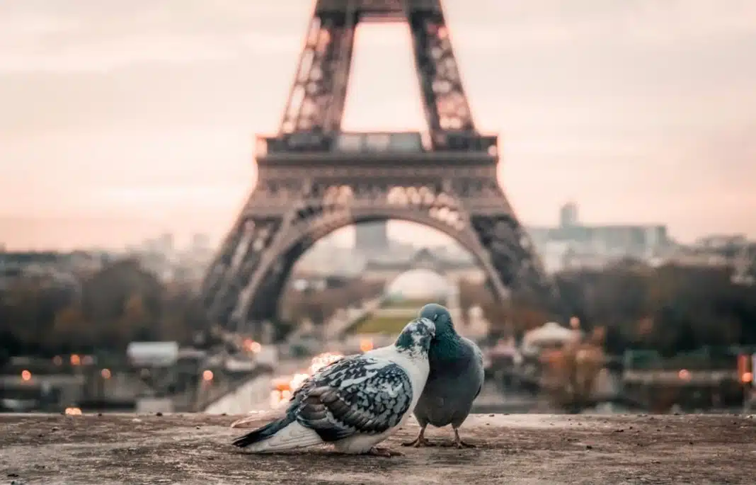 O amor é a mais satisfatória resposta para o problema da existência humana” “O amor é a mais satisfatória resposta para o problema da existência humana”