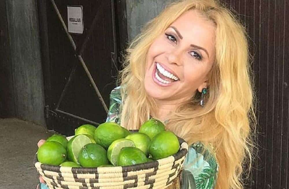 Se a vida lhe deu um limão, não faça uma limonada. Faça uma mousse!