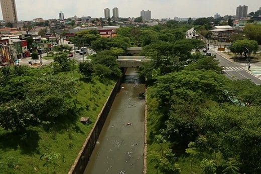 fasdapsicanalise.com.br - Aposentado plantou 25 mil &aacute;rvores e recuperou &aacute;rea degradada em SP