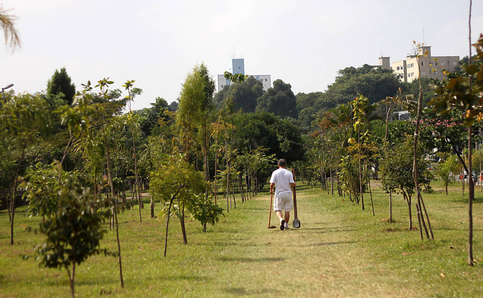 fasdapsicanalise.com.br - Aposentado plantou 25 mil árvores e recuperou área degradada em SP
