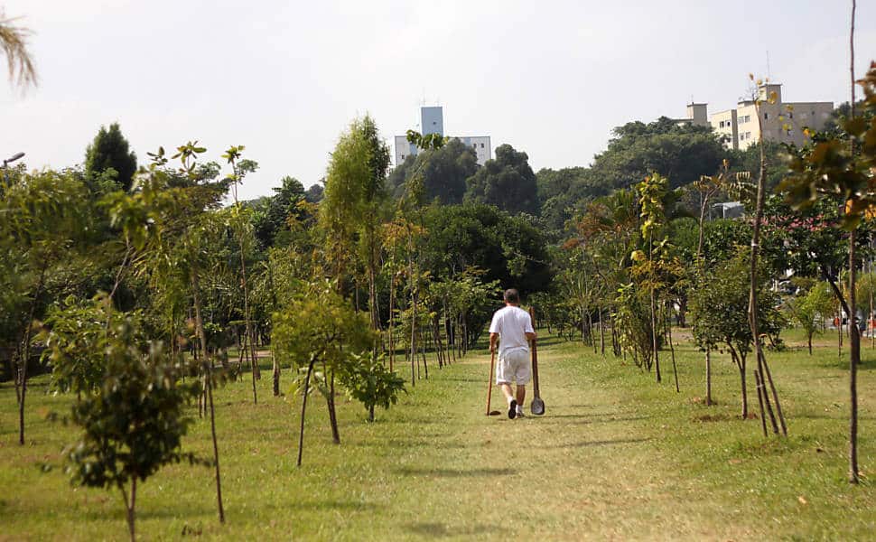 fasdapsicanalise.com.br - Aposentado plantou 25 mil &aacute;rvores e recuperou &aacute;rea degradada em SP