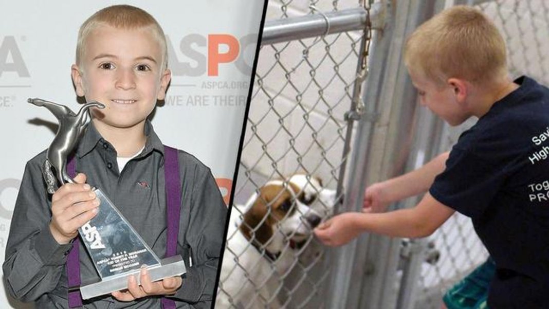 Menino de 7 anos recebe prêmio da ASPCA por salvar mais de 1.300 cachorros