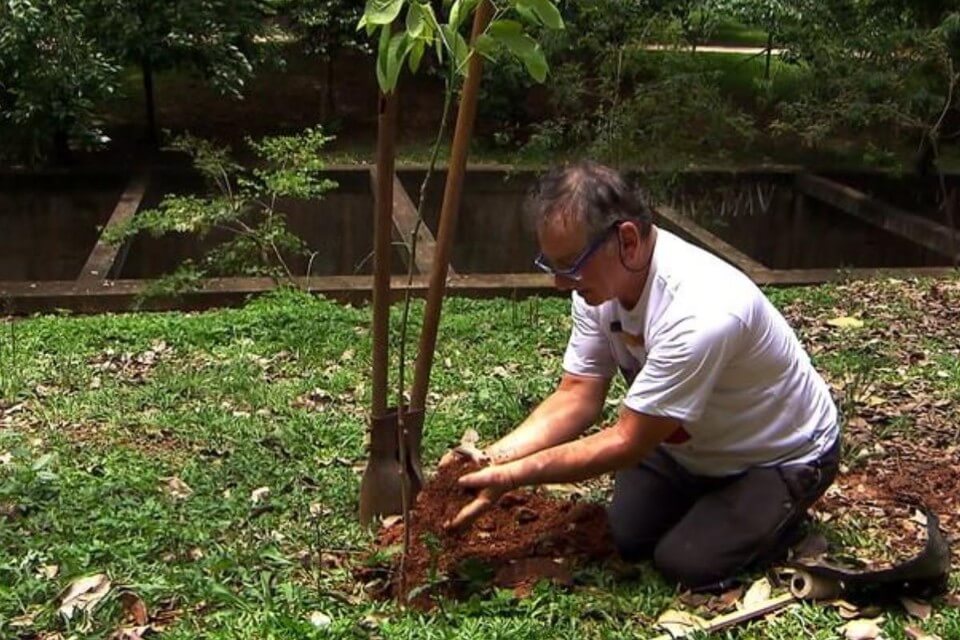 Aposentado plantou 25 mil árvores e recuperou área degradada em SP