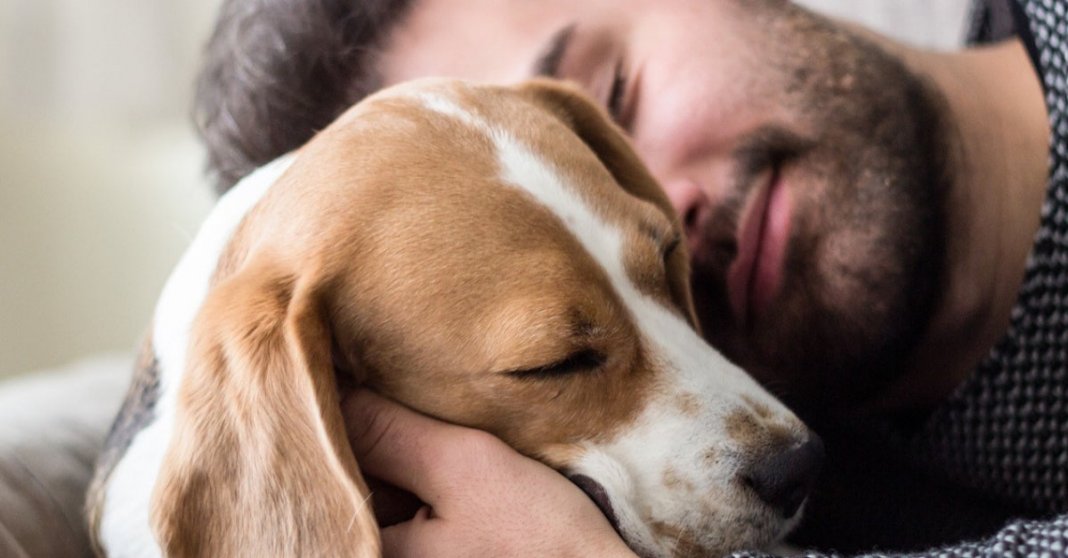 Dormir com seu animal de estimação faz bem, segundo pesquisa