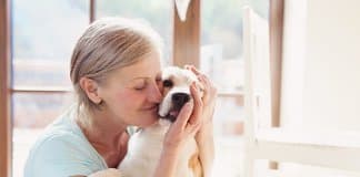 Eu aprendi algo lindo com um cachorro de rua