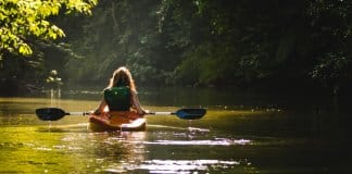 As maiores e mais belas coisas crescem lenta e silenciosamente