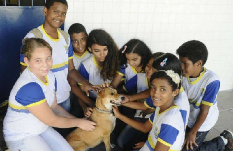 fasdapsicanalise.com.br - Escola adota c&atilde;es abandonados e inclui &lsquo;respeito aos animais&rsquo; no curr&iacute;culo