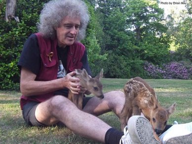 fasdapsicanalise.com.br - Guitarrista do Queen quer ser lembrado por combater a crueldade contra os animais