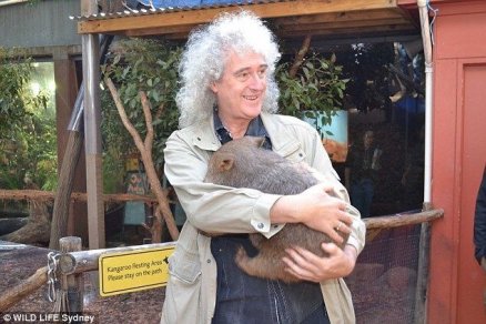 fasdapsicanalise.com.br - Guitarrista do Queen quer ser lembrado por combater a crueldade contra os animais