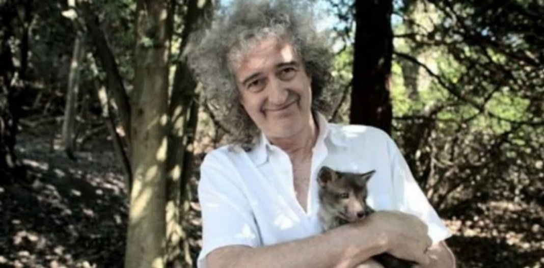 Guitarrista do Queen quer ser lembrado por combater a crueldade contra os animais