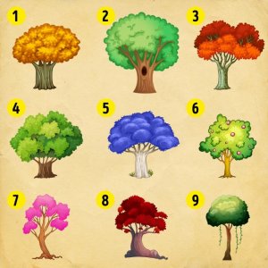 fasdapsicanalise.com.br - Escolha uma árvore para saber o que mudará no Ano Novo para você