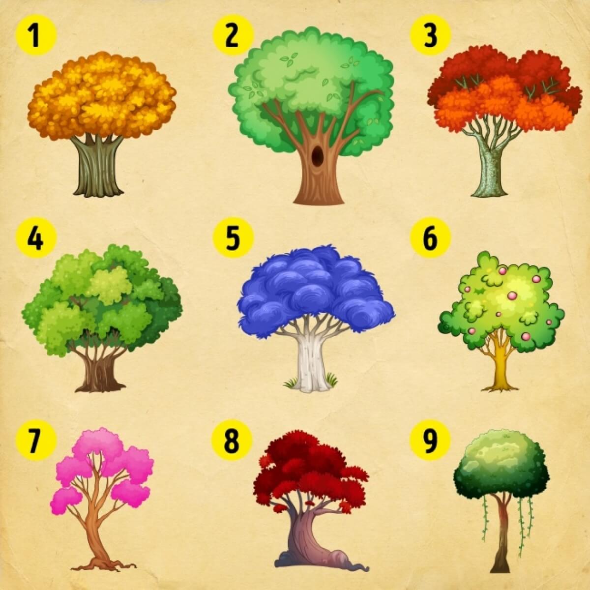 Тест выбери место у психолога. Тест дерево. Разные деревья. Психологический тест дерево. Ассоциативный тест с деревьями.