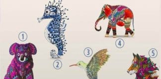 TESTE: Um desses animais dirá uma grande verdade sobre você